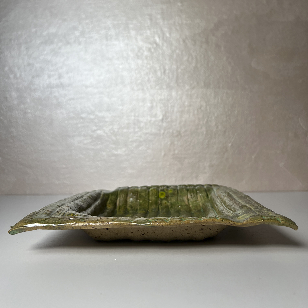 bamboo8