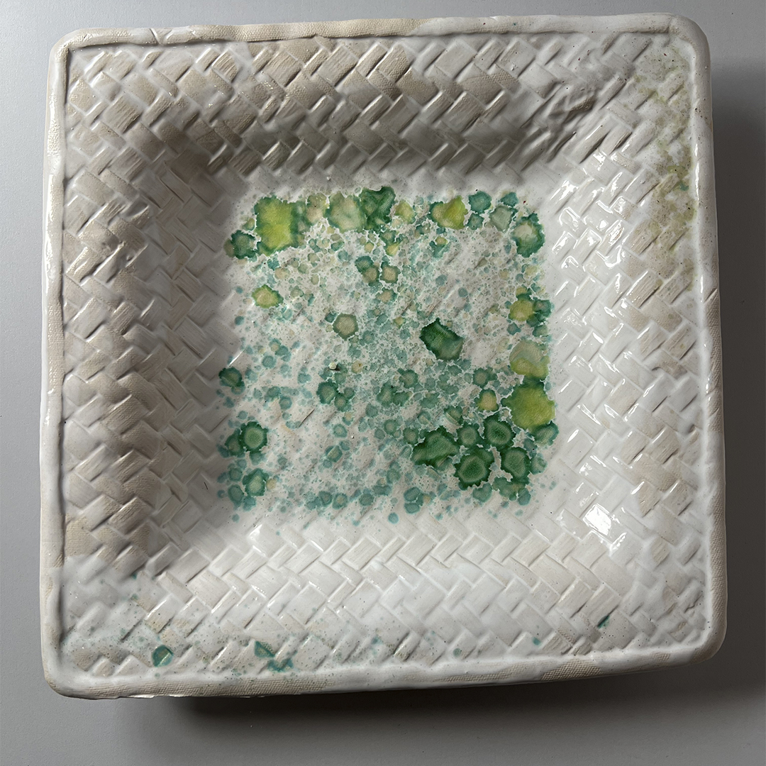 dedierlightgree11