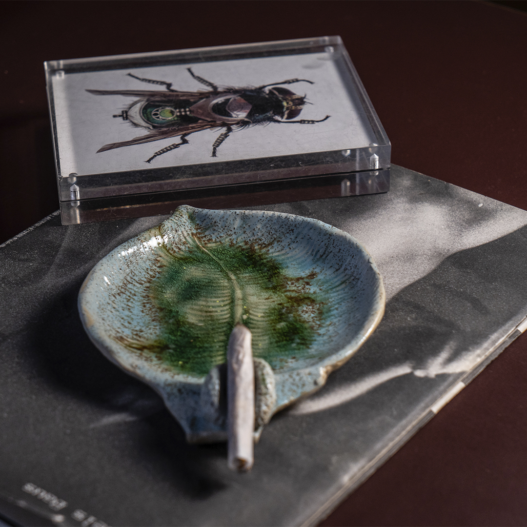 personalleaf1